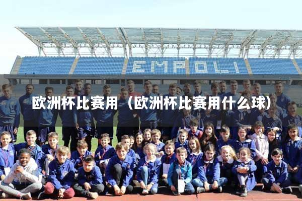 欧洲杯比赛用（欧洲杯比赛用什么球）